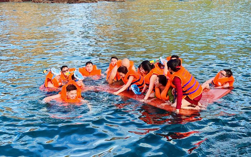 Tân Đại Thành Group trải nghiệm hoạt động ngắm san hô