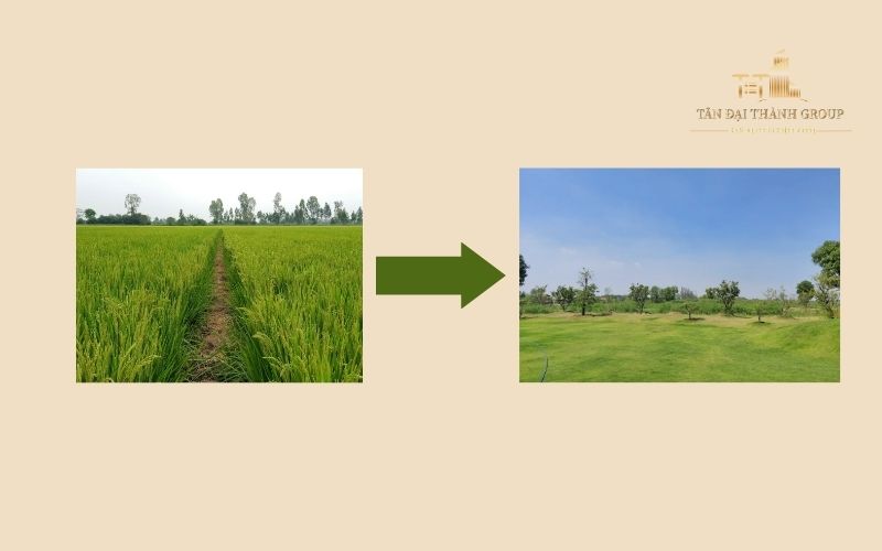Điều kiện để chuyển đổi đất trồng lúa sang đất vườn