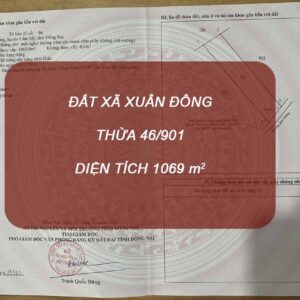 Dat San Bay Long Thanh 46 901 Dat Xa Xuan Dong Tandaithanhinvest