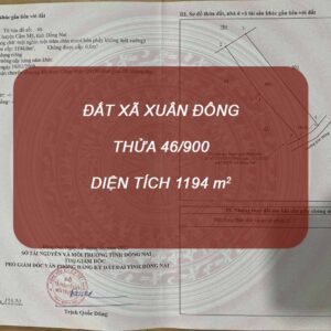Dat San Bay Long Thanh 46 900 Dat Xa Xuan Dong Tandaithanhinvest